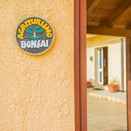 Bonsai B&B Alghero Santa Maria la Palma Dış mekan fotoğraf