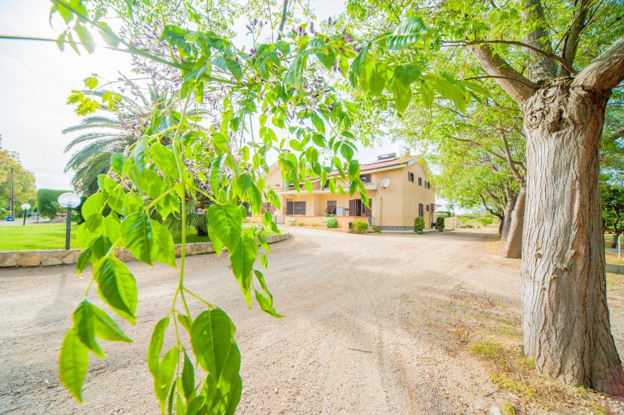 Bonsai B&B Alghero Santa Maria la Palma Dış mekan fotoğraf